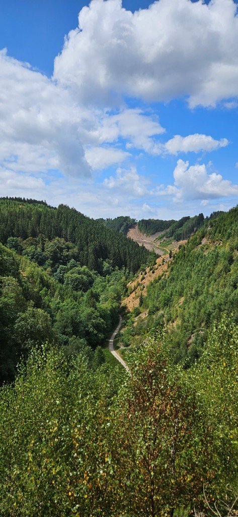 Valley near Château de Reinhardstein, Ovifat